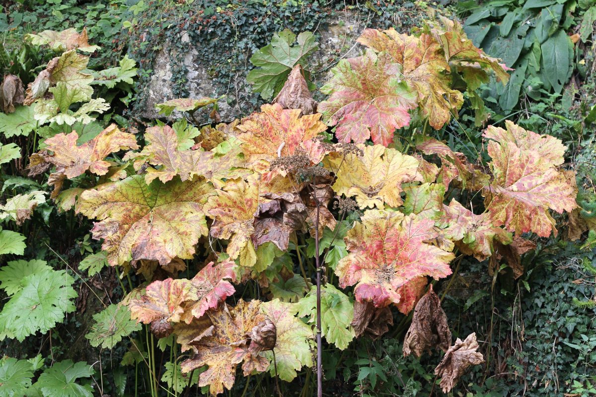 Batsford Arboretum